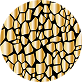 TORTOISE/GOLD 